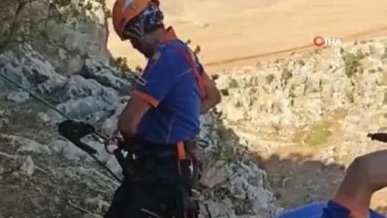 Dağlık alanda mahsur kalan koyun AFAD ekiplerince kurtarıldı