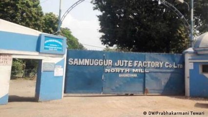 Jute marks comeback in India