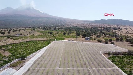 HOBİ OLARAK BAŞLADI, ŞİMDİ AVRUPA'YA İHRAÇ EDİYOR
