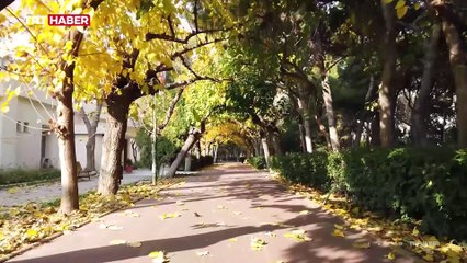 Mevsimler kayboluyor, geride birçok olumsuzluk bırakıyor