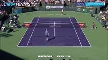 Andy Murray hits underarm ace in Alcaraz battle