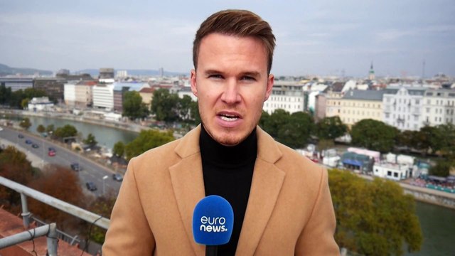 Почему ушел канцлер Курц?