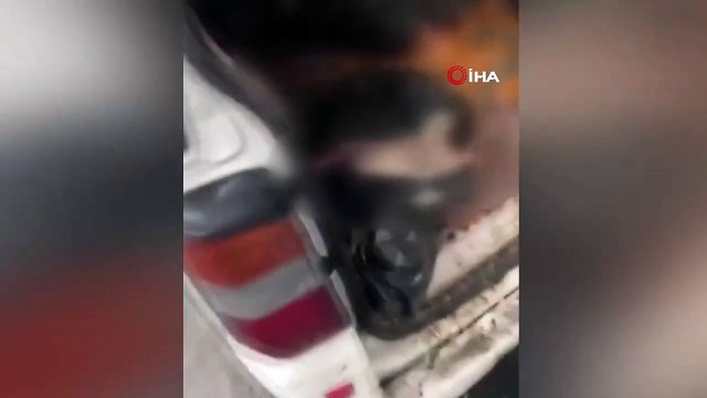 İstanbul'da tepki çeken görüntü! ''Böyle tavuk mu satılır''