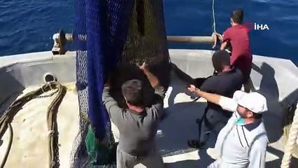 Denizden 4 TL’ye çıkan balık tezgâhta 35 TL!