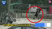 สุดกล้าหาญ! หนุ่มจีนทิ้งรถกลางถนน ช่วยตำรวจไล่กวดผู้ต้องสงสัย | ชนคลิปข่าว 111064 เดลินิวส์