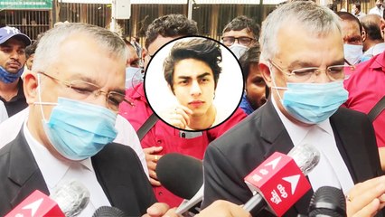 Aryan Khan's Lawyer Satish Maneshinde On Bail Rejection