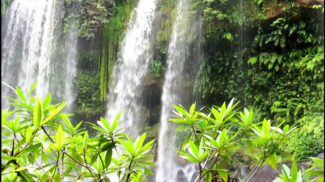 Relaxing Music, Study Music, Calming Music, Meditation Music, Spa Music,  Deep Sleep Music At Night.