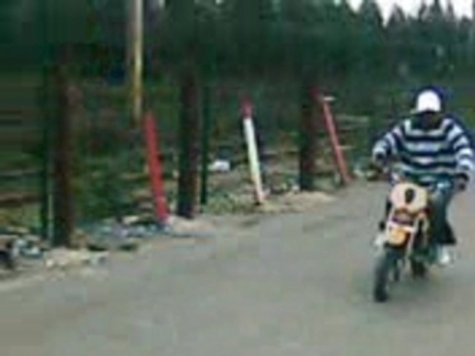 bams du 94400