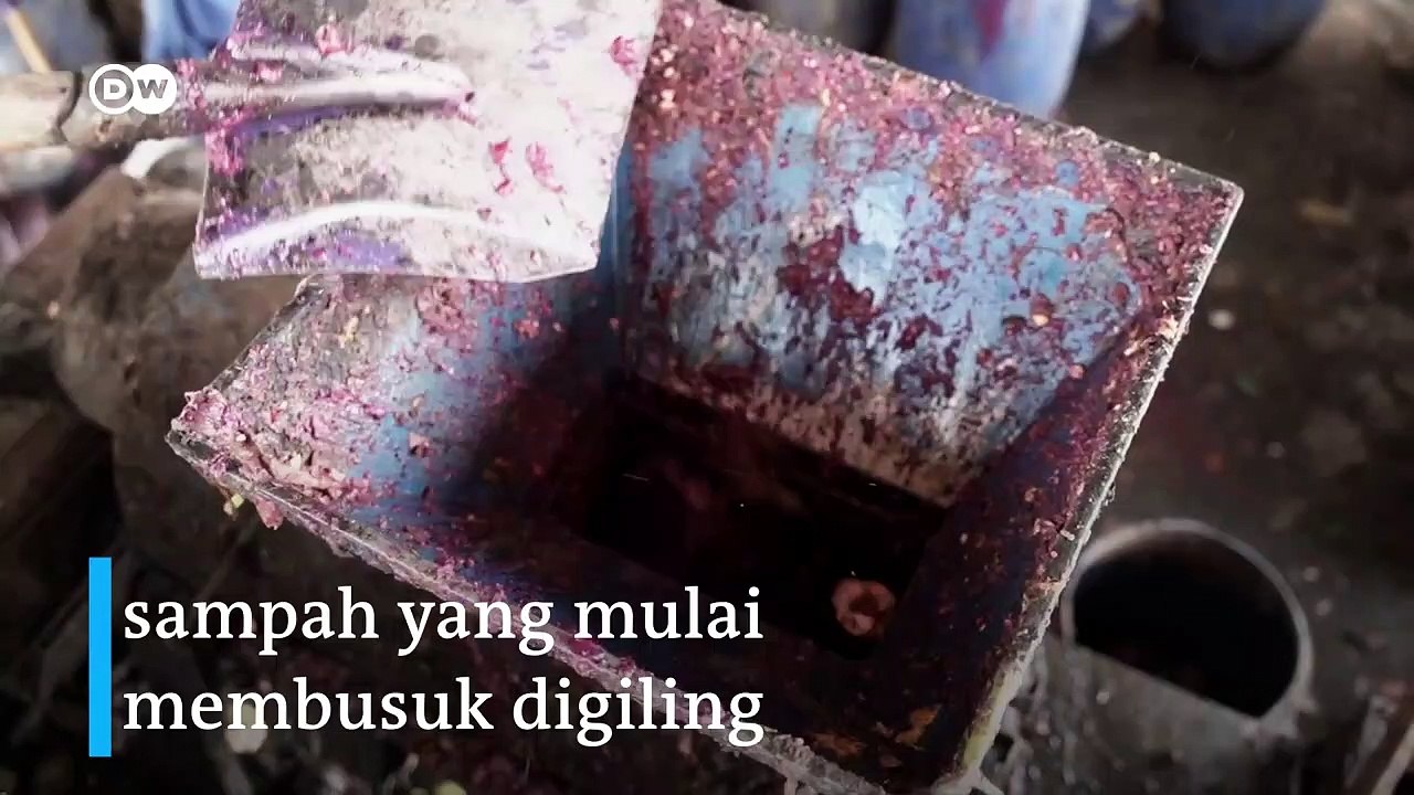 Budidaya Maggot Black Soldier Fly Cara Ampuh Atasi Sampah Organik (1)