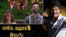 Bigg Boss లో ఇలా ఆడితే ఫ్యాన్స్ ఒప్పుకోరు.. Mind It | SRC ఫ్యాన్స్ స్ట్రాటజీ || Filmibeat Telugu