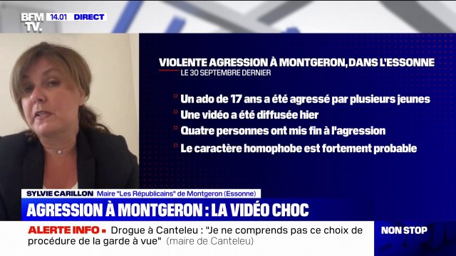 Agression à Montgeron: la victime va bien , d'après Sylvie Carillon, maire LR de la commune