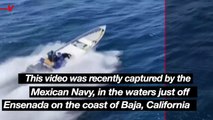 Massive Drug Smuggling Operation Thwarted by Mexican Navy