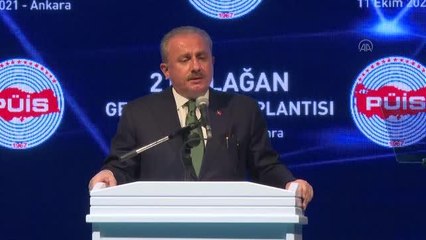 Şentop: (Salgın sonrasında) Türkiye, yeni dünyada da söz ve iddia sahibi olacaktır"