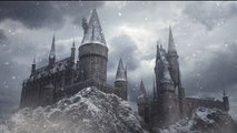 Harry Potter Ambient Music | Hogwarts | Relaxing, Studying, Sleeping