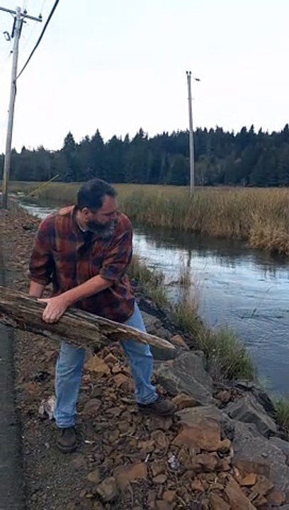Log Warped by Whirlpool
