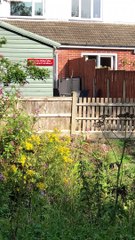 Fluffy Friend Bounces at the Fence