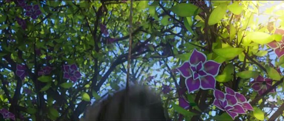 Ainbo - Spirito dell'Amazzonia (Trailer Italiano HD) ⭐️⭐️½