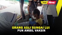 Orang Asli Sungai Lui pun ambil vaksin