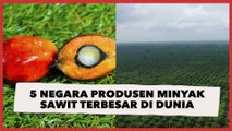 5 Negara Produsen Minyak Sawit Terbesar di Dunia: Indonesia Paling Ngeri!