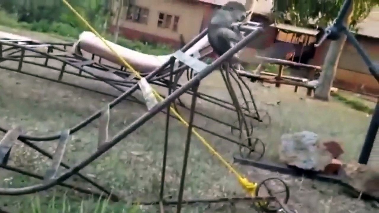 Video Kompilasi lucu Monyet VS Kucing