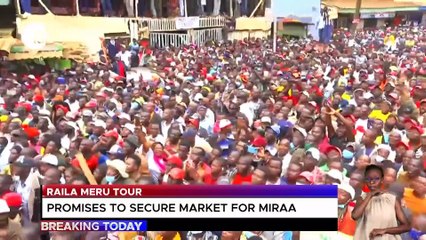 Raila promises to secure the Miraa market for Meru farmers