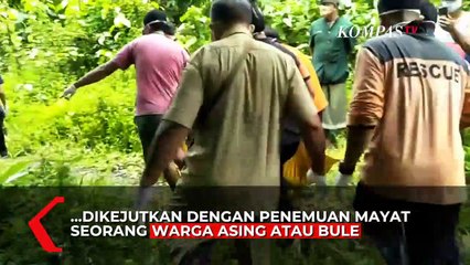 Download Video: Bule Asal Amerika Serikat Ditemukan Tewas di Monkey Forest Ubud, Ini Penyebabnya