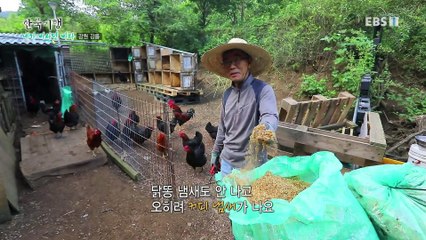 한국기행 - Korea travel_내가 바라던 바다 2부 꿈의 움막을 짓다_#001