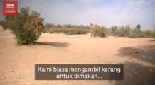 Hidup di suhu 50 derajat_ Sungai kering kerontang yang 'bangkit dari kematian'