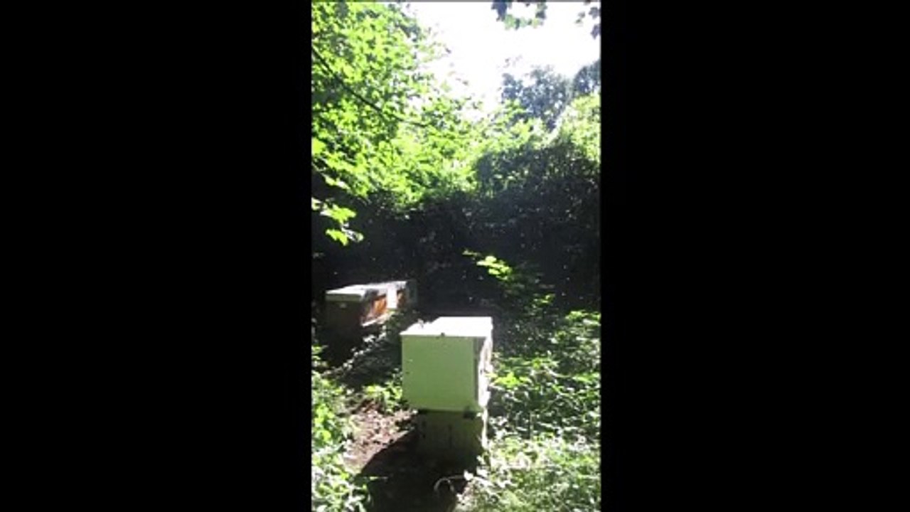 septembre 2021 dans le jardin