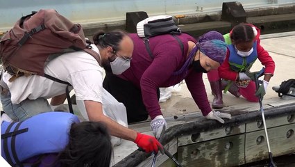 Volunteers spend their federal holiday cleaning up rivers in Washington, D.C.