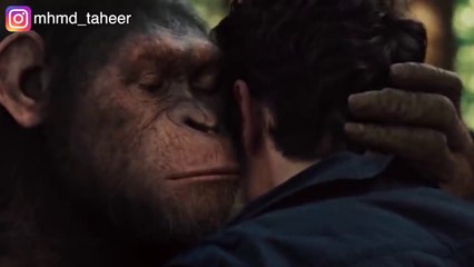 تجربة بتخلي القرود أذكى من البشر وبيقرروا يسيطروا على الكوكب The Planet of The Apes