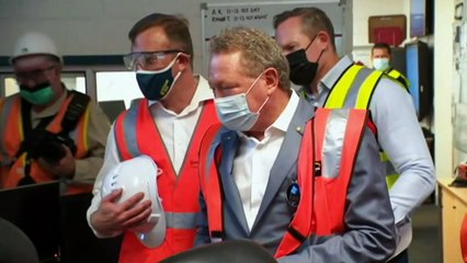 Billionaire's partnership with fertiliser supplier to build mass green energy plant in Qld