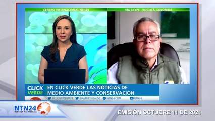 Crece tráfico ilegal de animales pese a la lucha frontal de autoridades colombianas