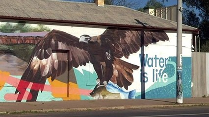 Wilcannia records no new COVID cases for 14th consecutive day