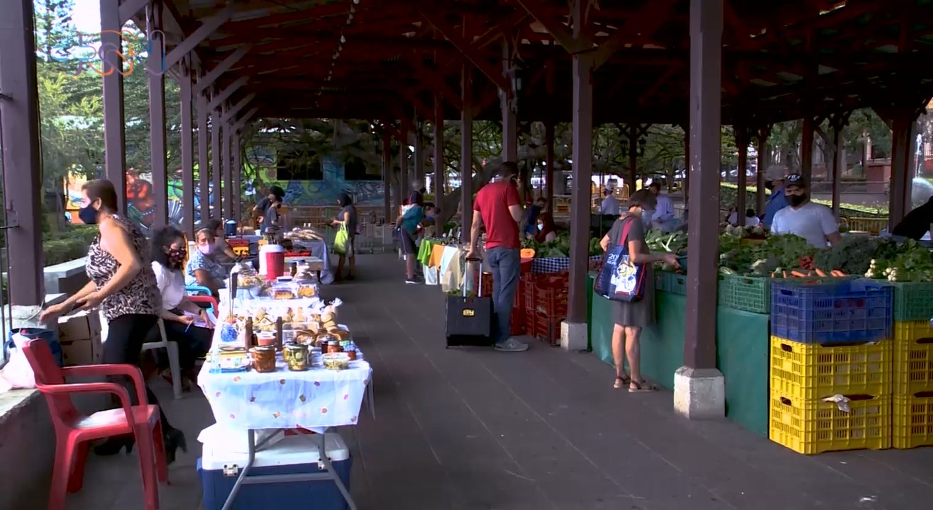 mqn- ¡Buenas Noticias para los amantes de ferias orgánicas!   111021