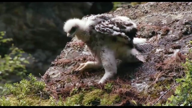 Кто летал тот поймёт = Егор и Наталия Лансере