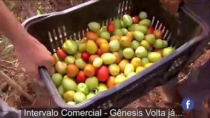 Novela Gênesis - Capítulo 190 Segunda 11/10 [Capítulo de Hoje]