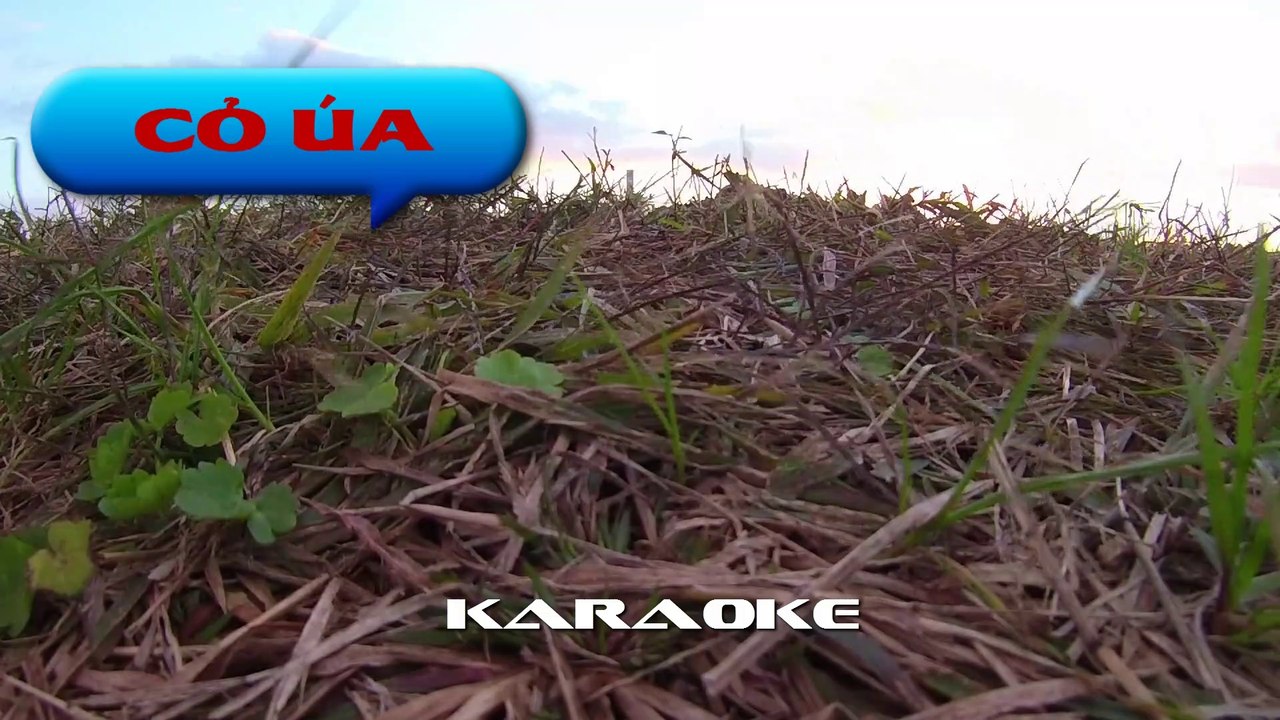 Cỏ Úa - Karaoke ( Ton Nam - Dm ) | 3N Music