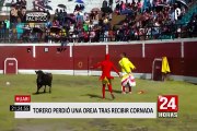 Huari: torero cómico perdió una oreja tras recibir cornada