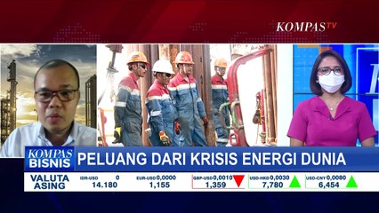 Sejumlah Negara Dilanda Krisis Energi, Peluang Indonesia Pasarkan Sektor Komoditas?