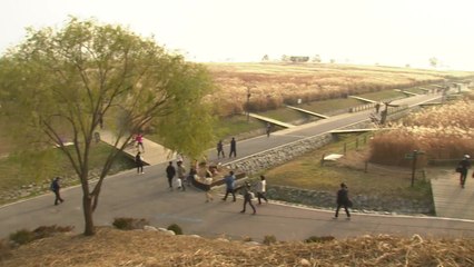 [날씨] 전국 흐리고 서늘, 서울 22℃...밤까지 남부 비 / YTN