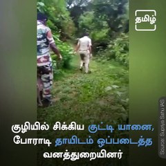 Foresters Help Baby Elephant Reunite With Mother - Viral Video