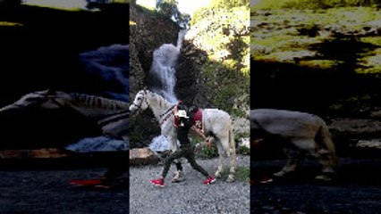 Mounting a Horse With Some Serious Style