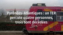 Pyrénées-Atlantiques : un TER percute quatre personnes, trois sont décédées