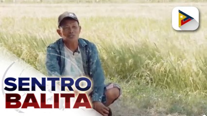 Download Video: DUTERTE LEGACY: Mga magsasaka, nagpasalamat sa mga programa ng Administrasyong Duterte para sa kanilang kabuhayan