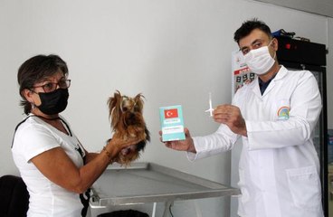 KÖPEKLER 2021, KEDİLER 2022 SONUNA KADAR ÇİPLENECEK