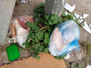 Dünyada 1,3 milyar ton gıda çöpe gidiyor