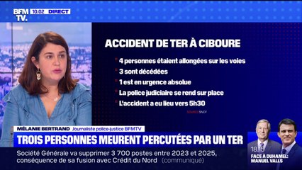 4 personnes percutées par un TER: le trafic reprend progressivement, la police judiciaire se rend sur place