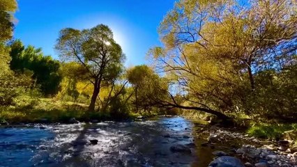 Serçeme Deresi, sonbahar renklerine büründü.