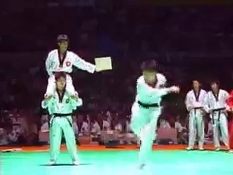 Korean Tigers Captain_